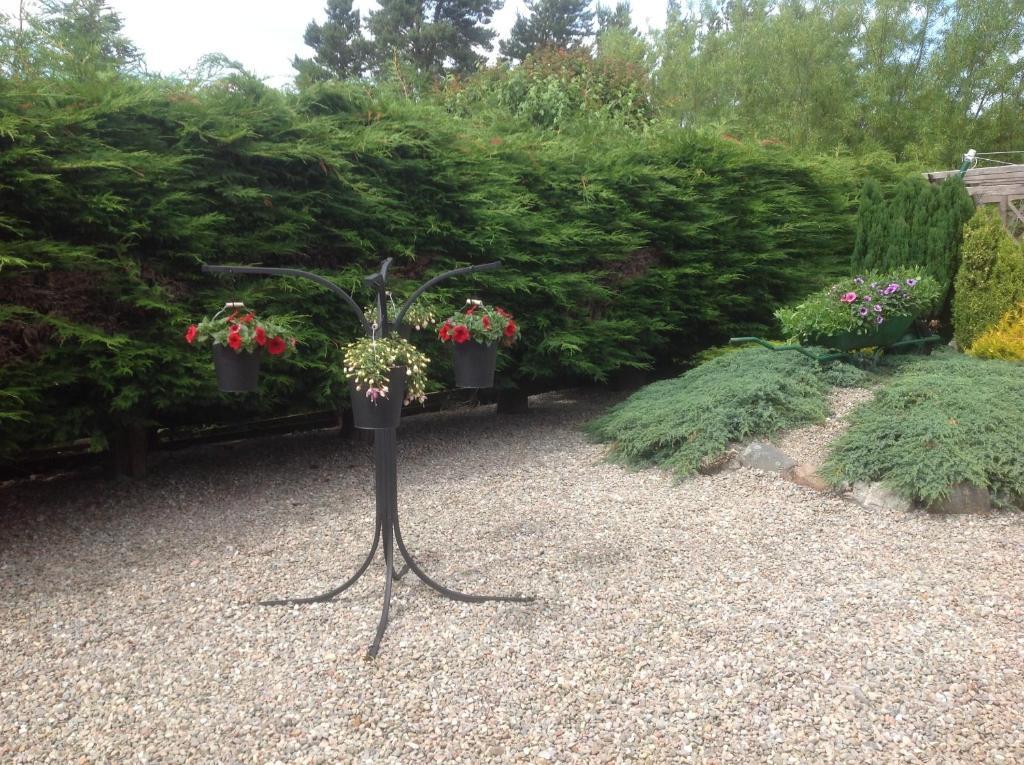 Dunroamin Bed And Breakfast Aviemore Cameră foto